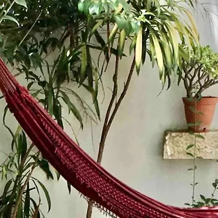 Quiet And Charming - With Yard, Center * Lisboa