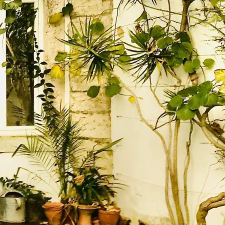 Quiet And Charming - With Yard, Center Daire Lisboa