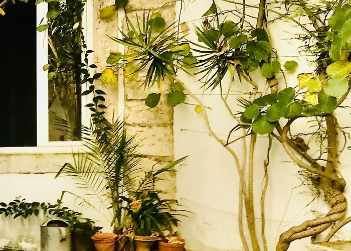 Quiet And Charming - With Yard, Center Daire Lisboa